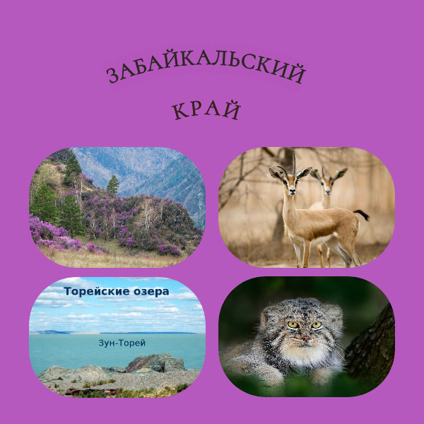 Сетевое метапредметное событие «Я – забайкалец, мы – забайкальцы!».